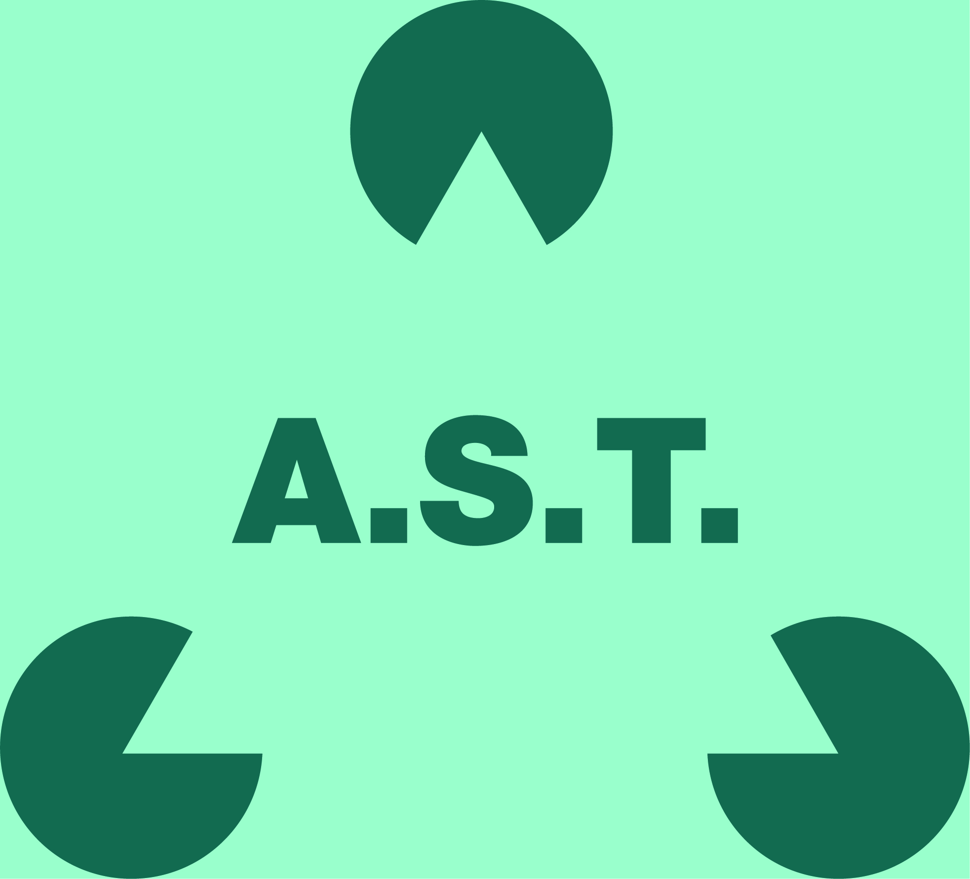 A.S.T. Asbestsanierung